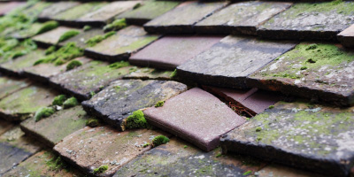 Saltmarsh roof repair costs